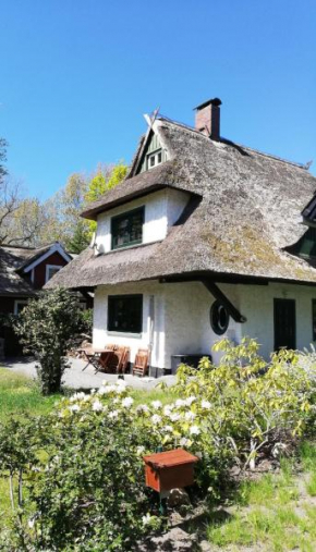 Darßer Strandgut - Haus Butzek in Ahrenshoop